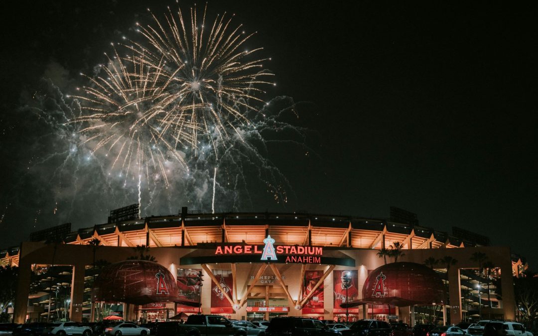 Stop Coordinating Multiple Cars: Group Van Service in Anaheim