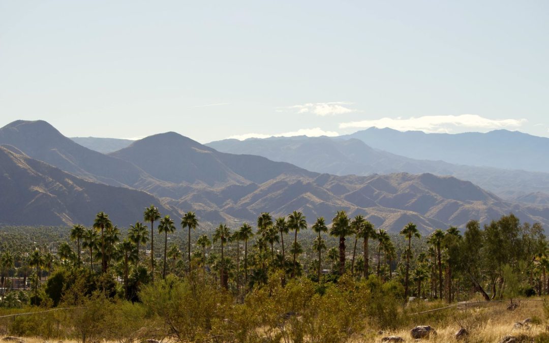 Planning Group Transportation for Your Palm Springs Wedding