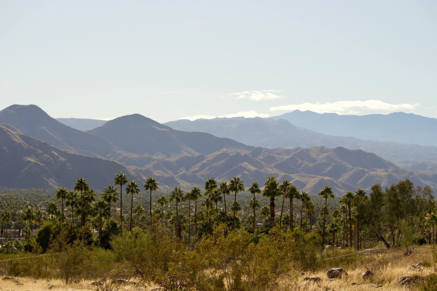 Palm Springs wedding driver